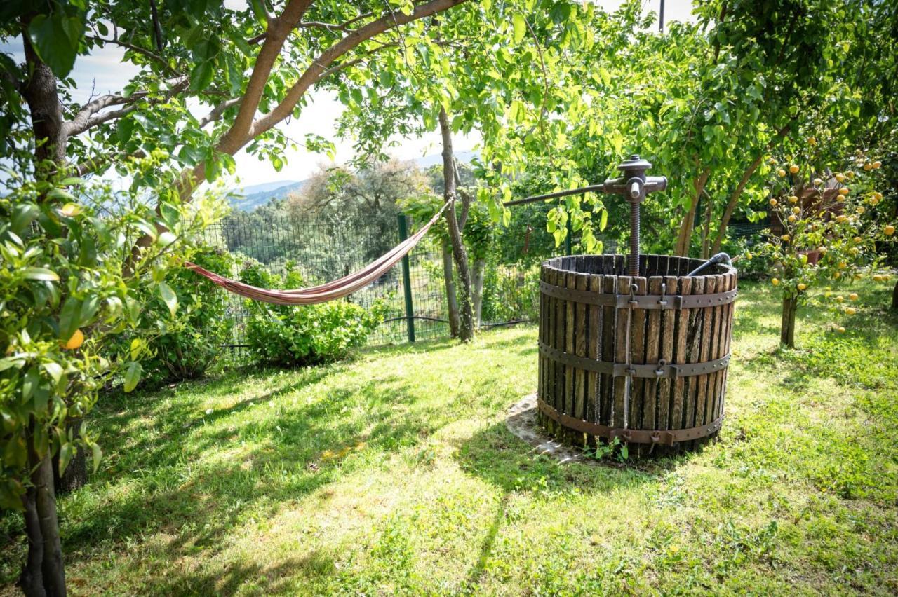 Pinhawood Villa Resende Luaran gambar